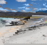 4X4 and Lunch Half Day Bicheno Coastal Mountain - Accommodation Tasmania