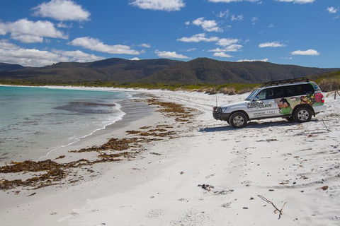 4X4 And Lunch Half Day Bicheno Coastal Mountain - Accommodation Tasmania 0