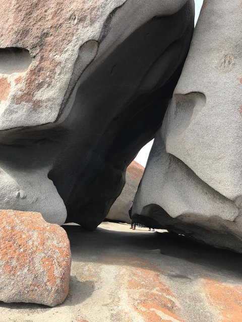 Kangaroo Island In A Day Tour From Adelaide - Accommodation Tasmania 7