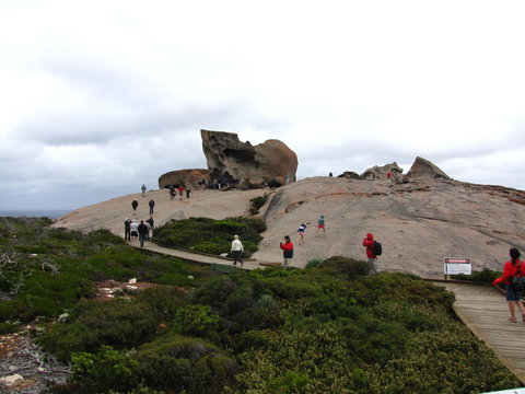 Kangaroo Island In A Day Tour From Adelaide - Accommodation Tasmania 21