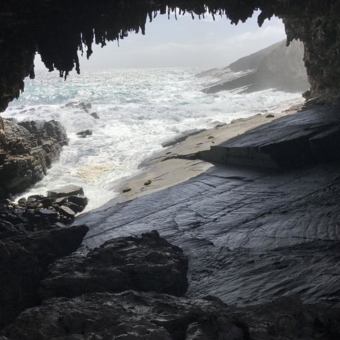 Kangaroo Island In A Day Tour From Adelaide - Accommodation Tasmania 5