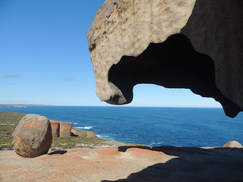 Kangaroo Island In A Day Tour From Adelaide - Accommodation Tasmania 13