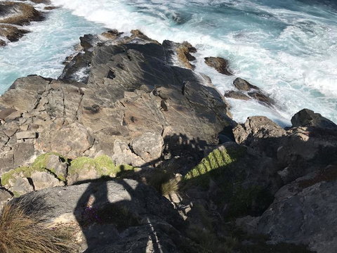 Kangaroo Island In A Day Tour From Adelaide - Accommodation Tasmania 3