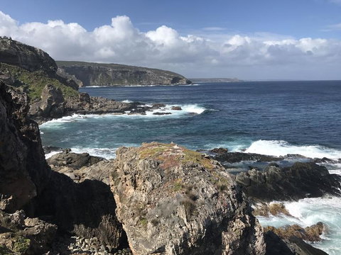 Kangaroo Island In A Day Tour From Adelaide - Accommodation Tasmania 4