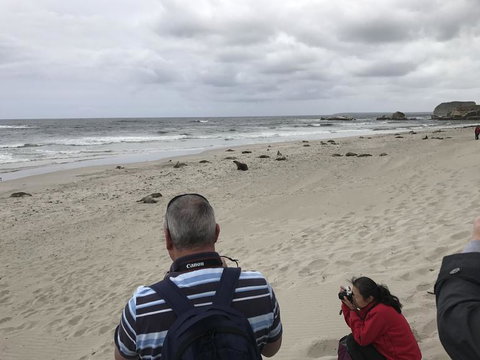 Kangaroo Island In A Day Tour From Adelaide - Accommodation Tasmania 10