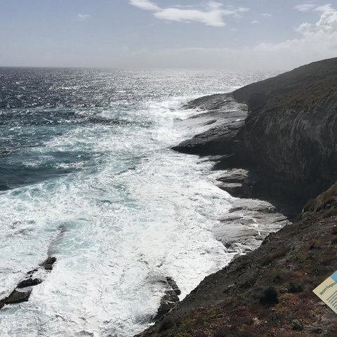 Kangaroo Island In A Day Tour From Adelaide - Accommodation Tasmania 6