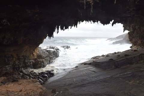 Kangaroo Island In A Day Tour From Adelaide - Accommodation Tasmania 18