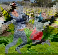 Mclaren Vale Luxury Full Day Small Group Wine Tour - Accommodation Tasmania