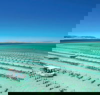 Coffin Bay Day Tour - A Taste of Coffin Bay - Accommodation Tasmania