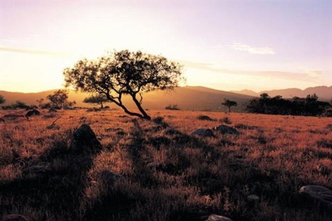Adelaide To Coober Pedy 7 DAY SMALL GROUP 4WD SAFARI - Accommodation Tasmania 0