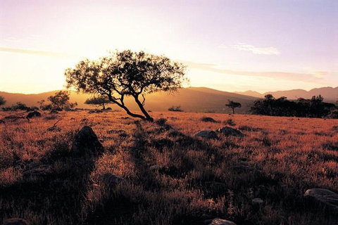 Adelaide To Coober Pedy 7 DAY SMALL GROUP 4WD SAFARI - Accommodation Tasmania 4