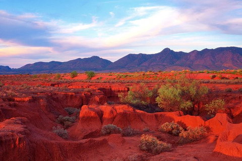Adelaide To Coober Pedy 7 DAY SMALL GROUP 4WD SAFARI - Accommodation Tasmania 7
