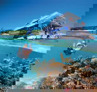 3-Day Southern Great Barrier Reef Tour Including Lady Musgrave Island - Accommodation Tasmania