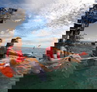 Moreton Island Day Trip Kayak Snorkel  Sandboard frm Brisbane or Gold Coast - Accommodation Tasmania