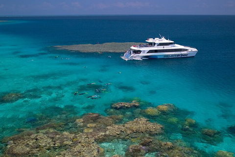 Silversonic Outer Great Barrier Reef Dive And Snorkel Cruise From Port Douglas - Accommodation Tasmania 2