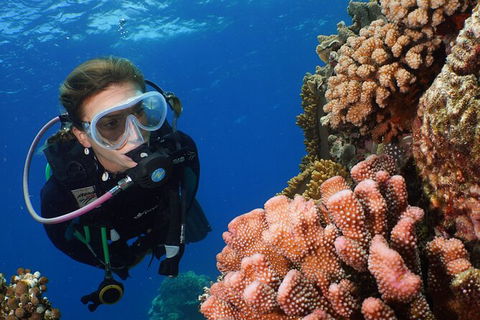 Silversonic Outer Great Barrier Reef Dive And Snorkel Cruise From Port Douglas - Accommodation Tasmania 5