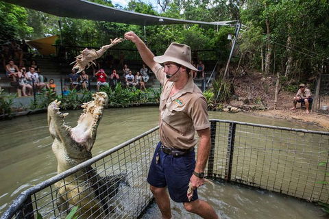 Full-Day Tour With Kuranda Scenic Railway, Skyrail Rainforest Cableway, And Hartley's Crocodile Adventures From Cairns - Accommodation Tasmania 1