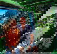 Skyrail Rainforest Cableway Day Trip from Palm Cove - Accommodation Tasmania