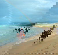 Rainbow Beach Horse Ride - Accommodation Tasmania