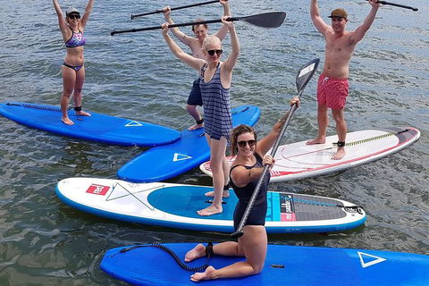 Noosa Stand Up Paddle Group Lesson - Accommodation Tasmania 1