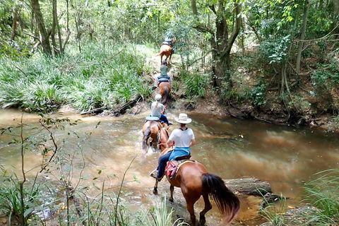 Country Day Ride From Mt Goomboorian With Rainbow Beach Horse Rides - Accommodation Tasmania 1
