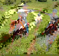 Country Day Ride from Mt Goomboorian with Rainbow Beach Horse Rides - Accommodation Tasmania