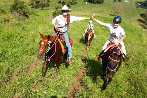 Country Day Ride From Mt Goomboorian With Rainbow Beach Horse Rides - Accommodation Tasmania 0
