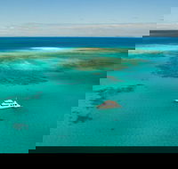 Great Barrier Reef Dive and Snorkel Cruise from Mission Beach - Accommodation Tasmania