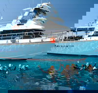 Great Barrier Reef Cruise from Townsville or Magnetic Island - Accommodation Tasmania