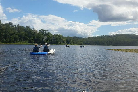 Walkabout Creek Kayak Hire - Accommodation Tasmania 1
