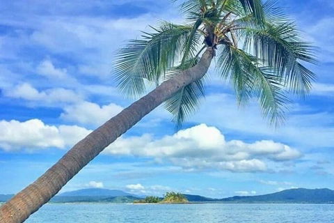 Dunk Island Round-Trip Water Taxi Transfer From Mission Beach - Accommodation Tasmania 6