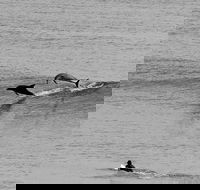 Overnight Tweed Coast Camping and Surfing Getaway From The Gold Coast - Accommodation Tasmania