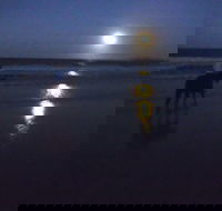 Full Moon Horse Ride at Rainbow Beach - Accommodation Tasmania