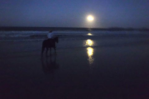 Full Moon Horse Ride At Rainbow Beach - Accommodation Tasmania 0