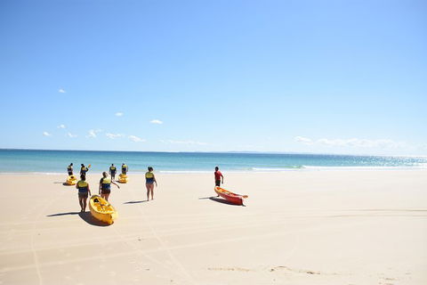 Half-Day Kayak With Dolphins And 4WD Beach Drive From Rainbow Beach - Accommodation Tasmania 10