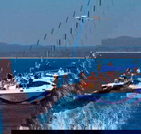 Blue Dolphin Exclusive Whale Watch Encounters - Accommodation Tasmania