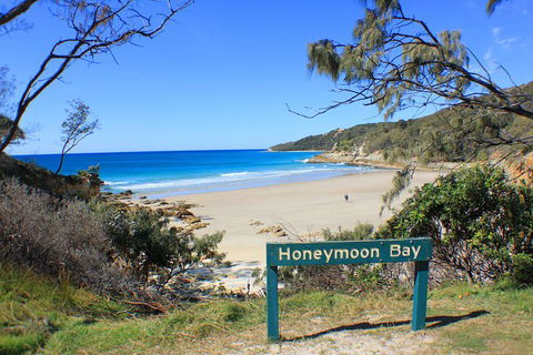 Fraser & Moreton Island 3-Day Scenic 4WD ECO Tour From Brisbane Or Gold Coast - Accommodation Tasmania 0