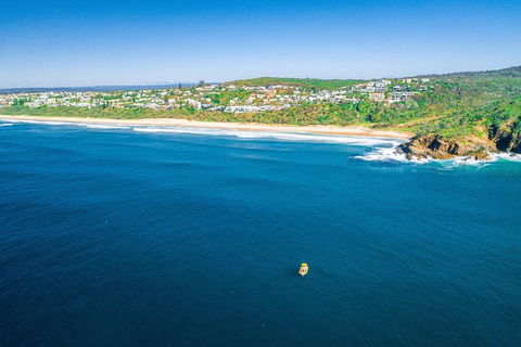 Noosa Oceanrider Scenic Dolphin Safari - Accommodation Tasmania 5