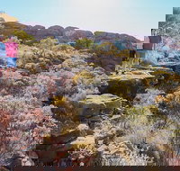 Kings Canyon Day Trip from Ayers Rock - Accommodation Tasmania