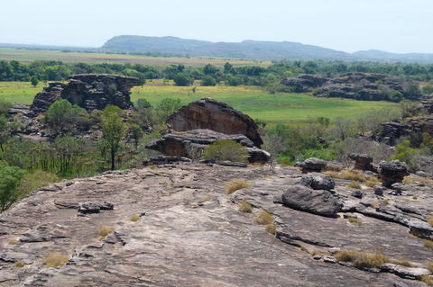 Kakadu Full-Day Tour From Darwin With Lunch - Accommodation Tasmania 3