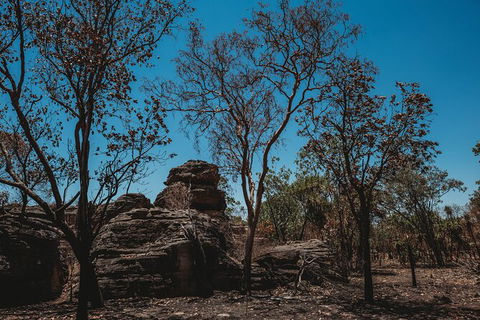 Kakadu Full-Day Tour From Darwin With Lunch - Accommodation Tasmania 6