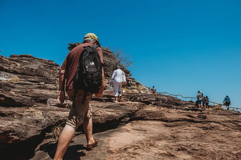 Kakadu Full-Day Tour From Darwin With Lunch - Accommodation Tasmania 5