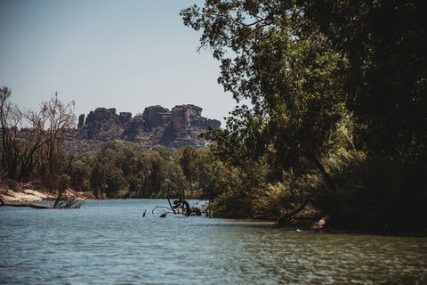 Kakadu Full-Day Tour From Darwin With Lunch - Accommodation Tasmania 8