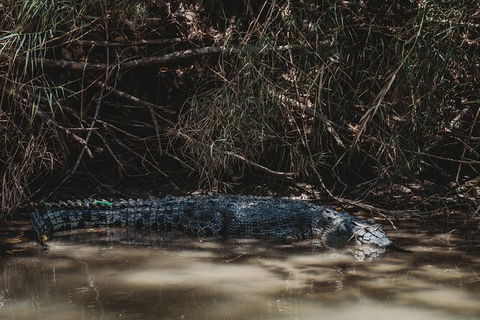 Kakadu Full-Day Tour From Darwin With Lunch - Accommodation Tasmania 13