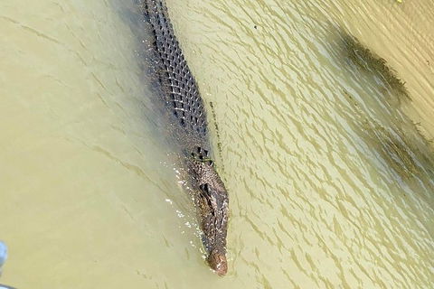 Kakadu & Katherine Gorge Full Day Air Tour, Helicopter & Cruise - Accommodation Tasmania 6