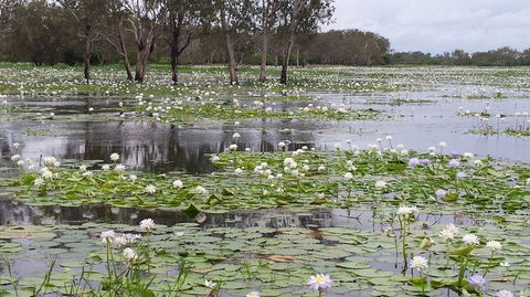 Kakadu, Nourlangie And Yellow Waters Tour From Darwin - Accommodation Tasmania 12