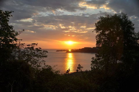 Kakadu, Nourlangie And Yellow Waters Tour From Darwin - Accommodation Tasmania 24