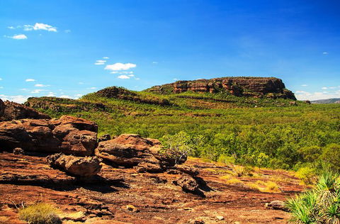 Kakadu, Nourlangie And Yellow Waters Tour From Darwin - Accommodation Tasmania 34