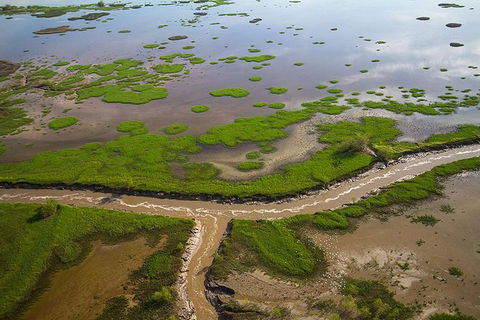 Kakadu National Park Scenic Flight - Accommodation Tasmania 10