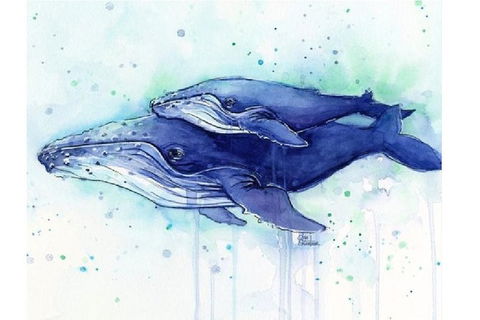 A Day At Sea - Six Tanks 3.00-5.00pm - Accommodation Tasmania 0